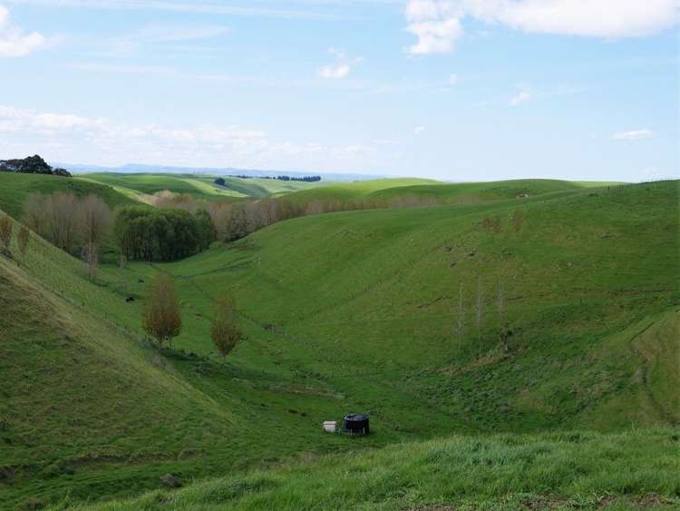 Whakapirau Road Maraekakaho_3