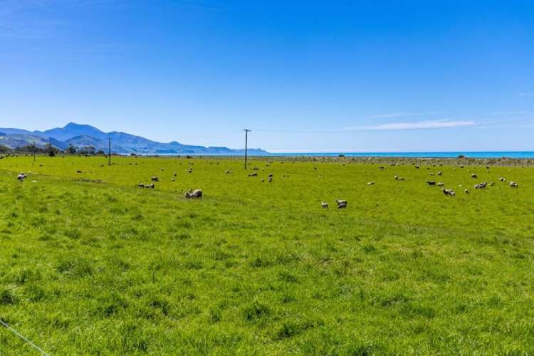 4667 State Highway 1, Clarence Kaikoura_9