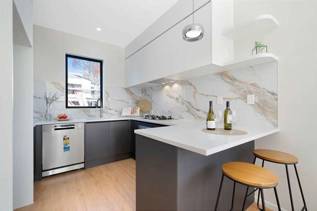 2C Terra Nova Street Glen Eden_3