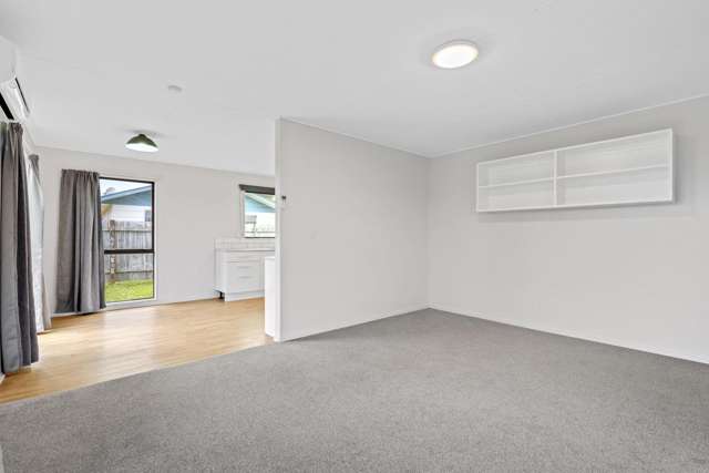 11 Balmoral Street Levin_1