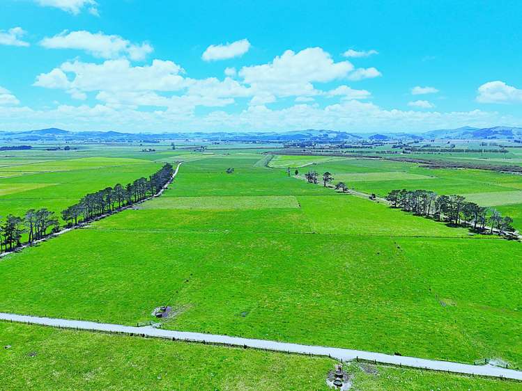 331 Simpson Road Ruawai_22