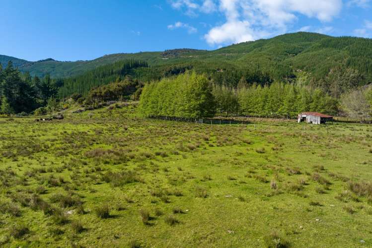 1025 Wakamarina Road Havelock_8