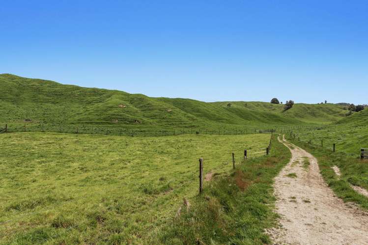 103 Rendall Road Rotoma_7