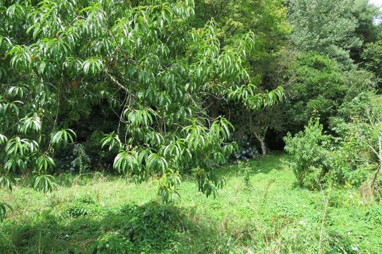 23 Ruru Street Ohura_10