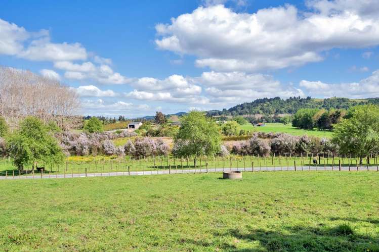 84 Streamlands Swamp Road Kaipara Flats_13
