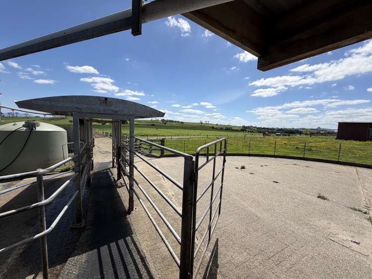 454 West Coast Road Te Kopuru_14