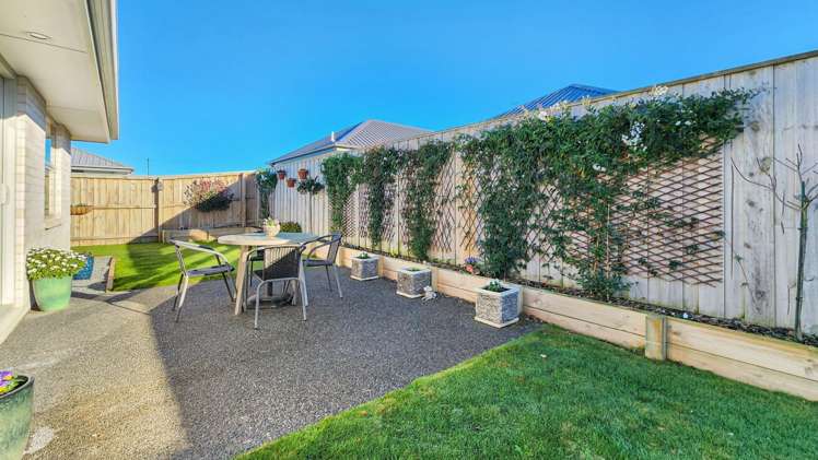 110 Monarch Drive 11103_13