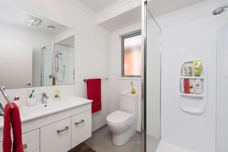 29a Tyrone Street Greerton_12