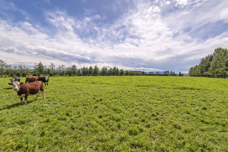 665 Wolffs Road West Eyreton_19