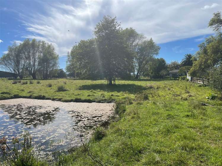 191 Postman Road Dairy Flat_8