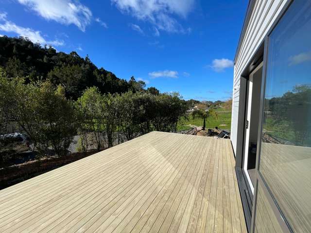 260 Horseshoe Bush Road Dairy Flat_3