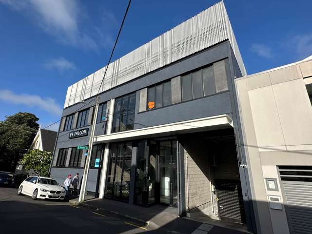 23 Falcon Street Parnell_1