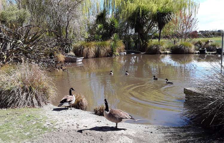 426 Collins Road Springston_18