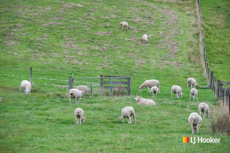 16 Woodside Road Outram_19