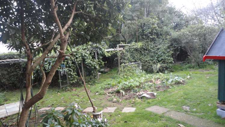 30 Te Koa Road Panmure_1