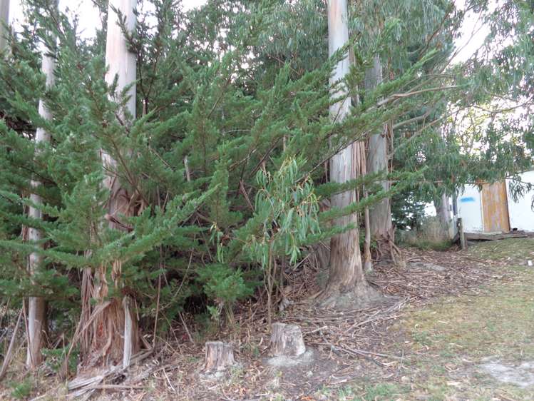 Scott Street Clutha_3