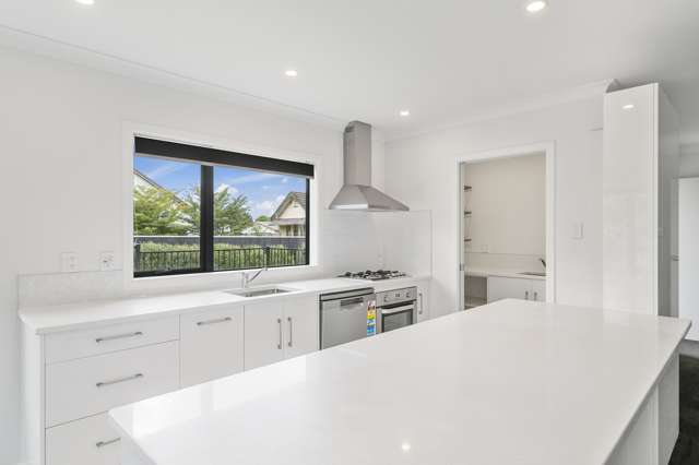 144 Winchester Street Levin_3