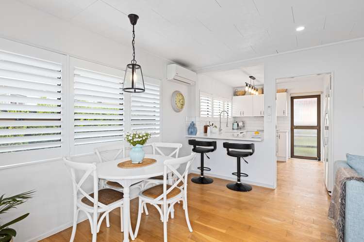 21b Nukumea Common Orewa_8