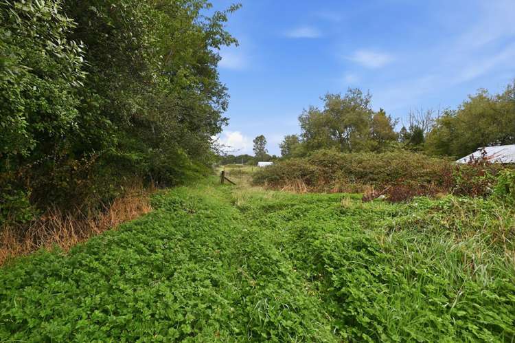 72 Tarena Street Mamaku_30