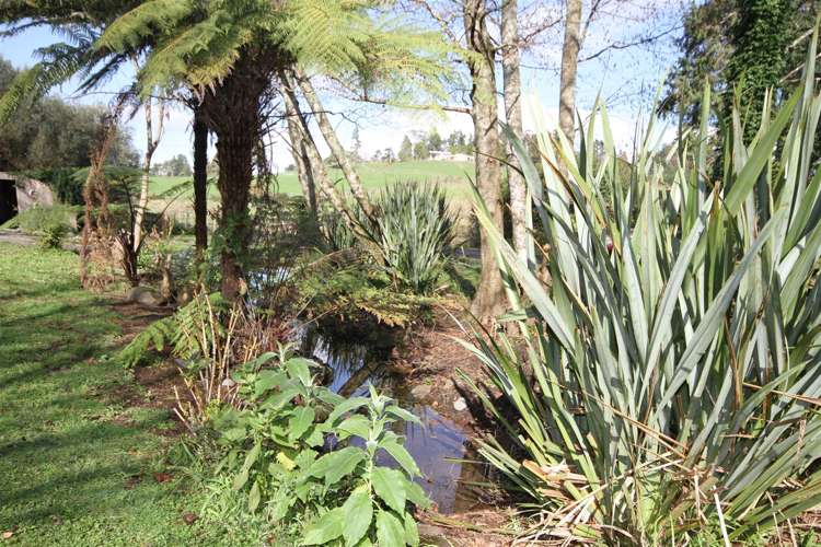 30 Lambert Street Waihi_17