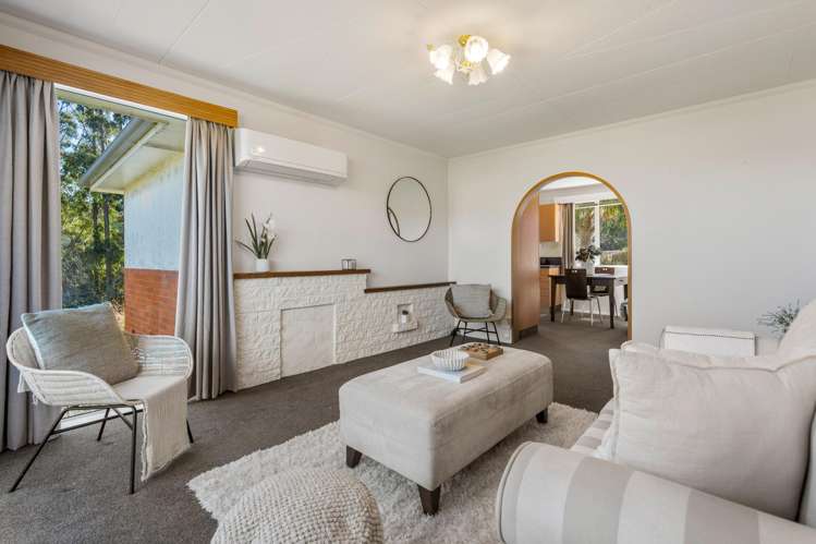 411 Pine Hill Road Pine Hill_8