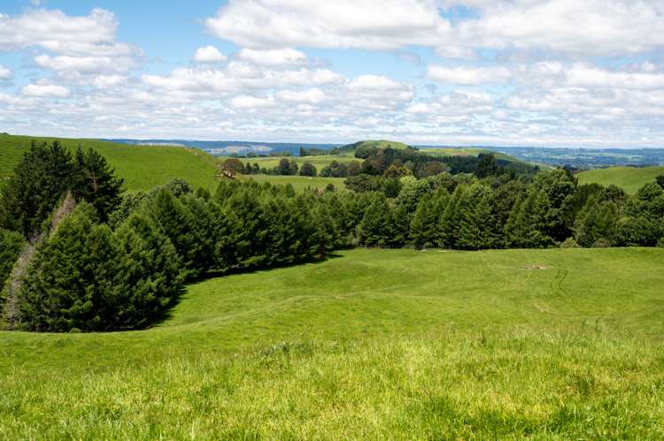 286 Jay Road Reporoa and Surrounds_8