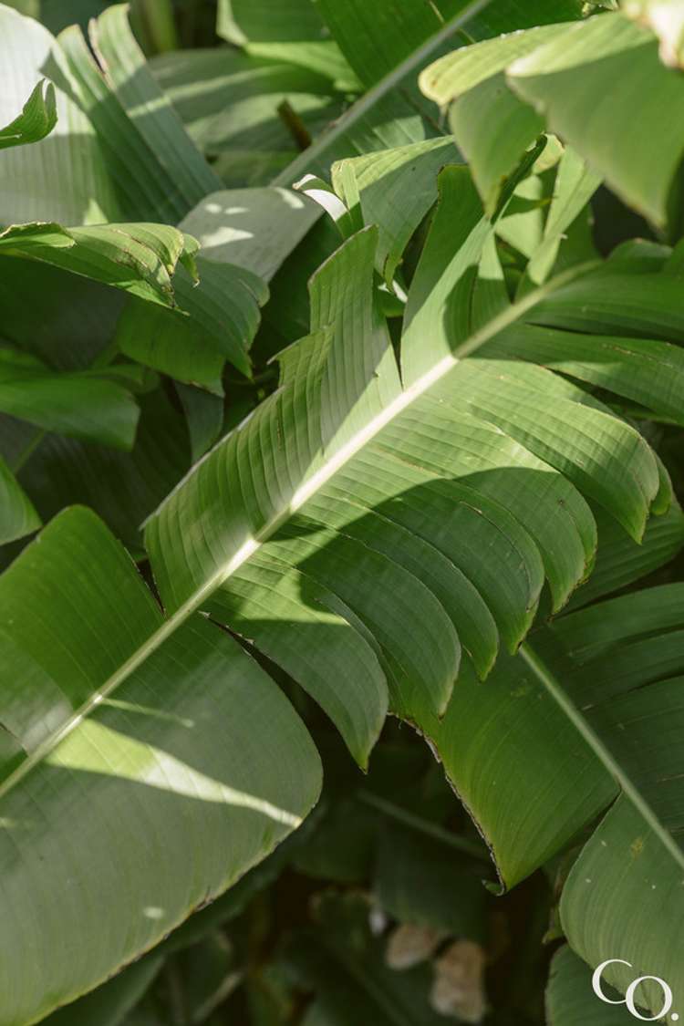 9 Ngarimu Place Mount Maunganui_22