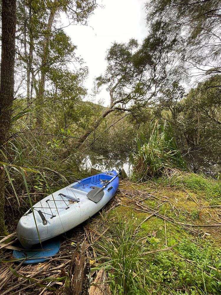 148 Laingholm Drive Laingholm_13