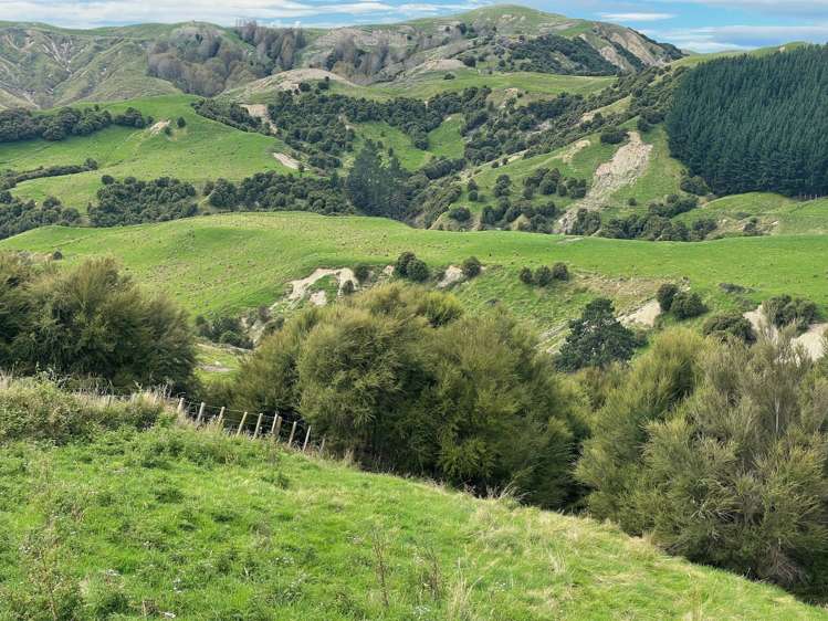 643 Glengarry Road Puketapu_14