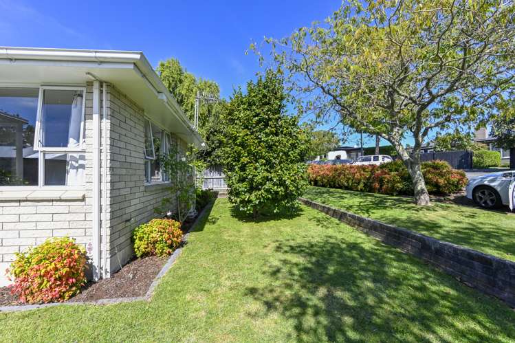 1/7 Scannell Street Havelock North_12