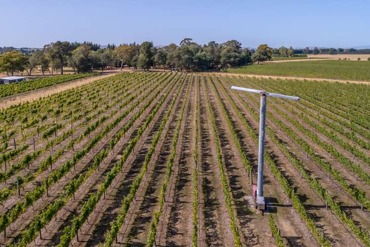 46 Waipipi Road Opaki_18