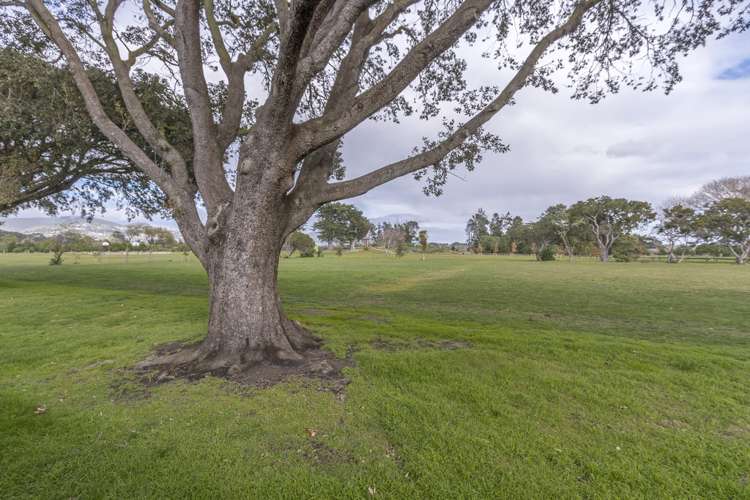 2/204b Estuary Road South New Brighton_7
