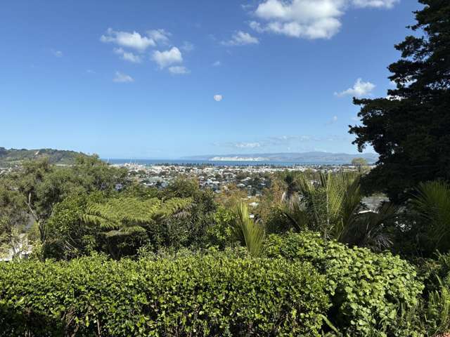 30 Hill Road Whataupoko_1