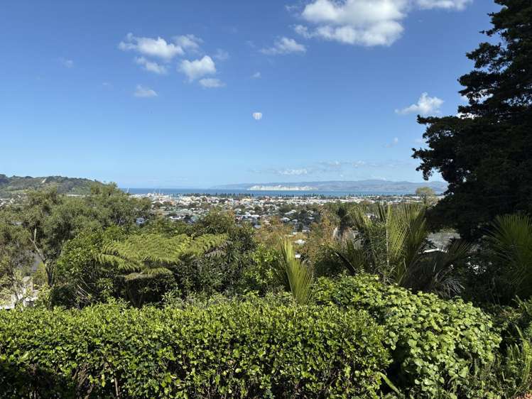 30 Hill Road Whataupoko_1