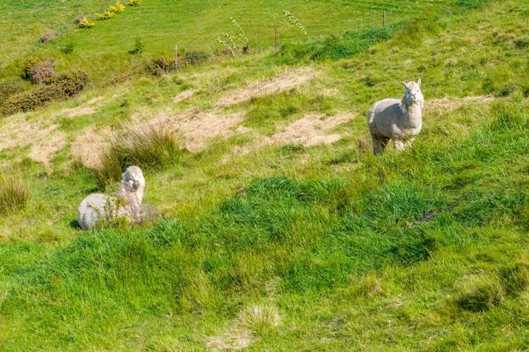 187 Dublin Road Wakefield_20