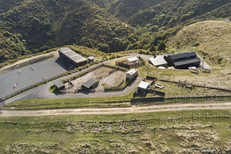 1029 Ohariu Valley Road Ohariu_18