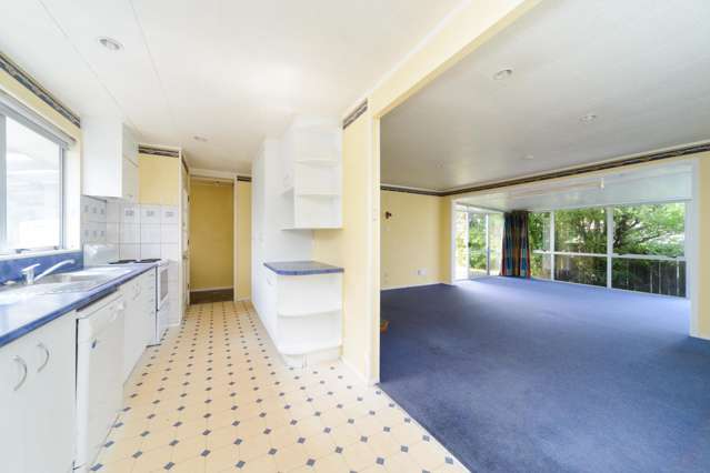 50 Acacia Street Kelvin Grove_3