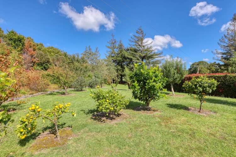 360 Oneriri Road Kaiwaka_24