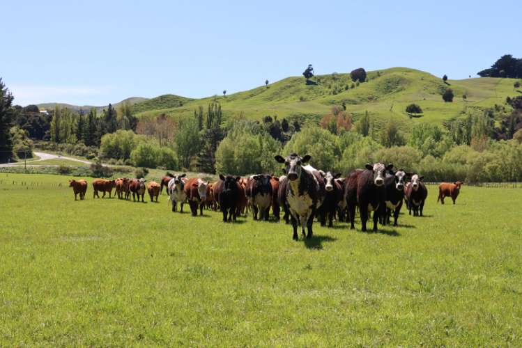 98 Millstream Road Dannevirke_8