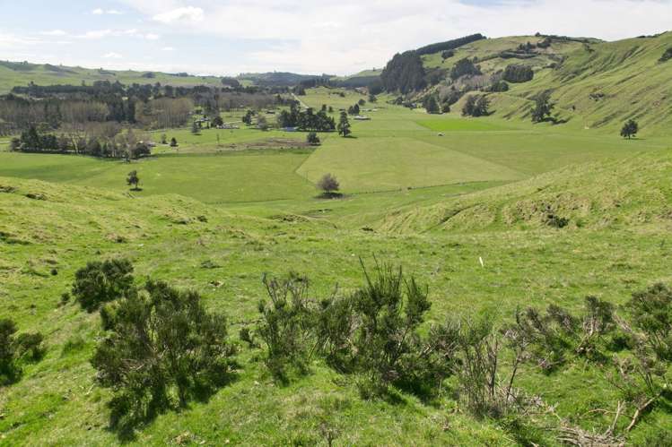 939 Tukairangi Road Acacia Bay_16