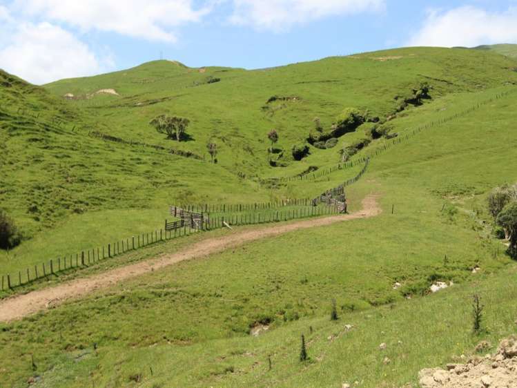 934 Coonoor Road Pahiatua_6