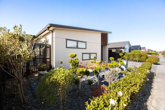 20 Trewern Avenue Chartwell_3
