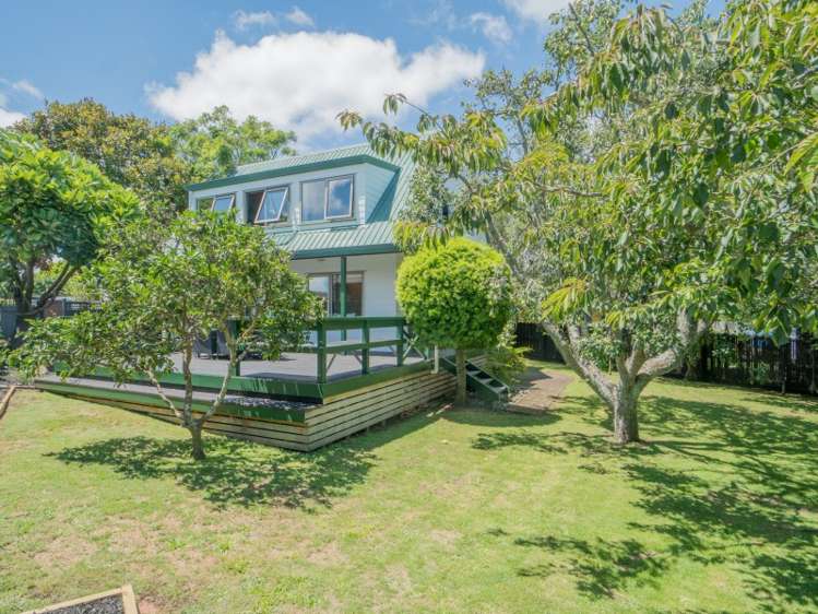 17a Taiere Terrace Onehunga_1