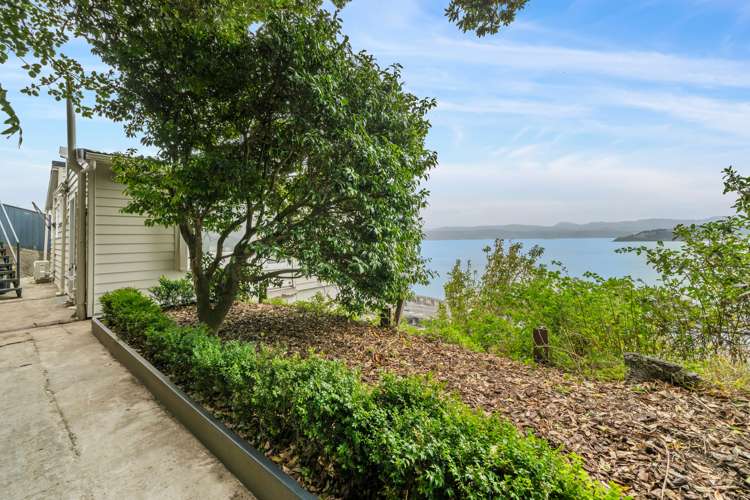 64 Barnard Street Wadestown_16