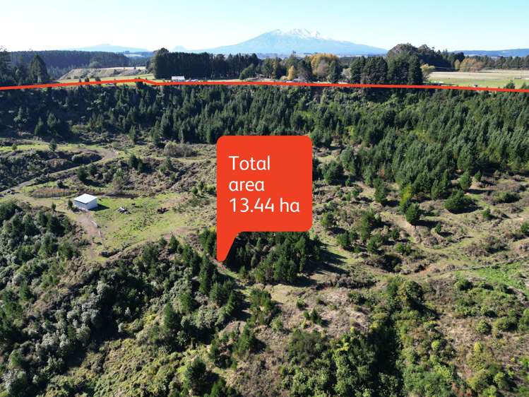 81D Middle Road Raetihi_19