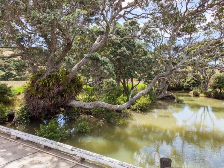 94b Carey Road Port Charles_1