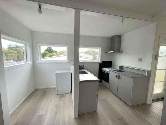 7 Croydon Road New Lynn_3