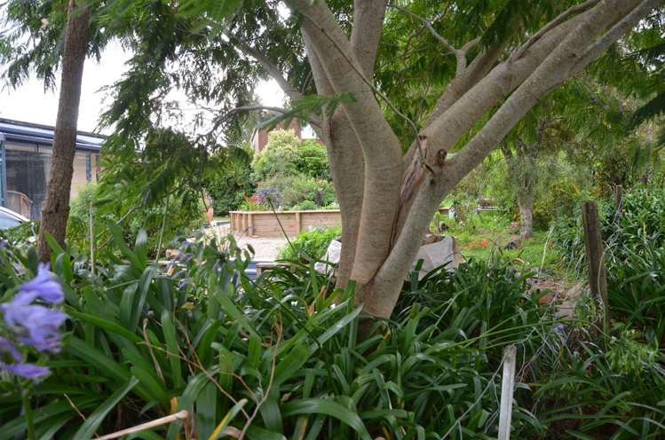 39 Poland Street Waikino_20