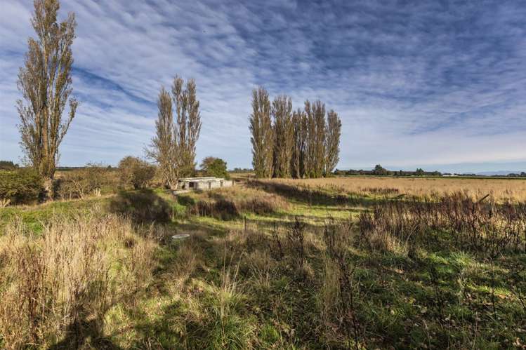 93 Hills Road Leeston_16