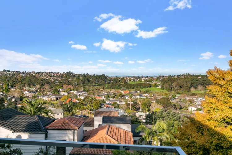 30c Monteith Crescent Remuera_8